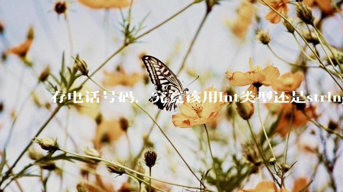存电话号码，究竟该用int类型还是string类型？
