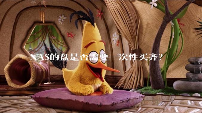 NAS的盘是否需要一次性买齐？