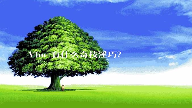 Vim 有什么奇技淫巧？